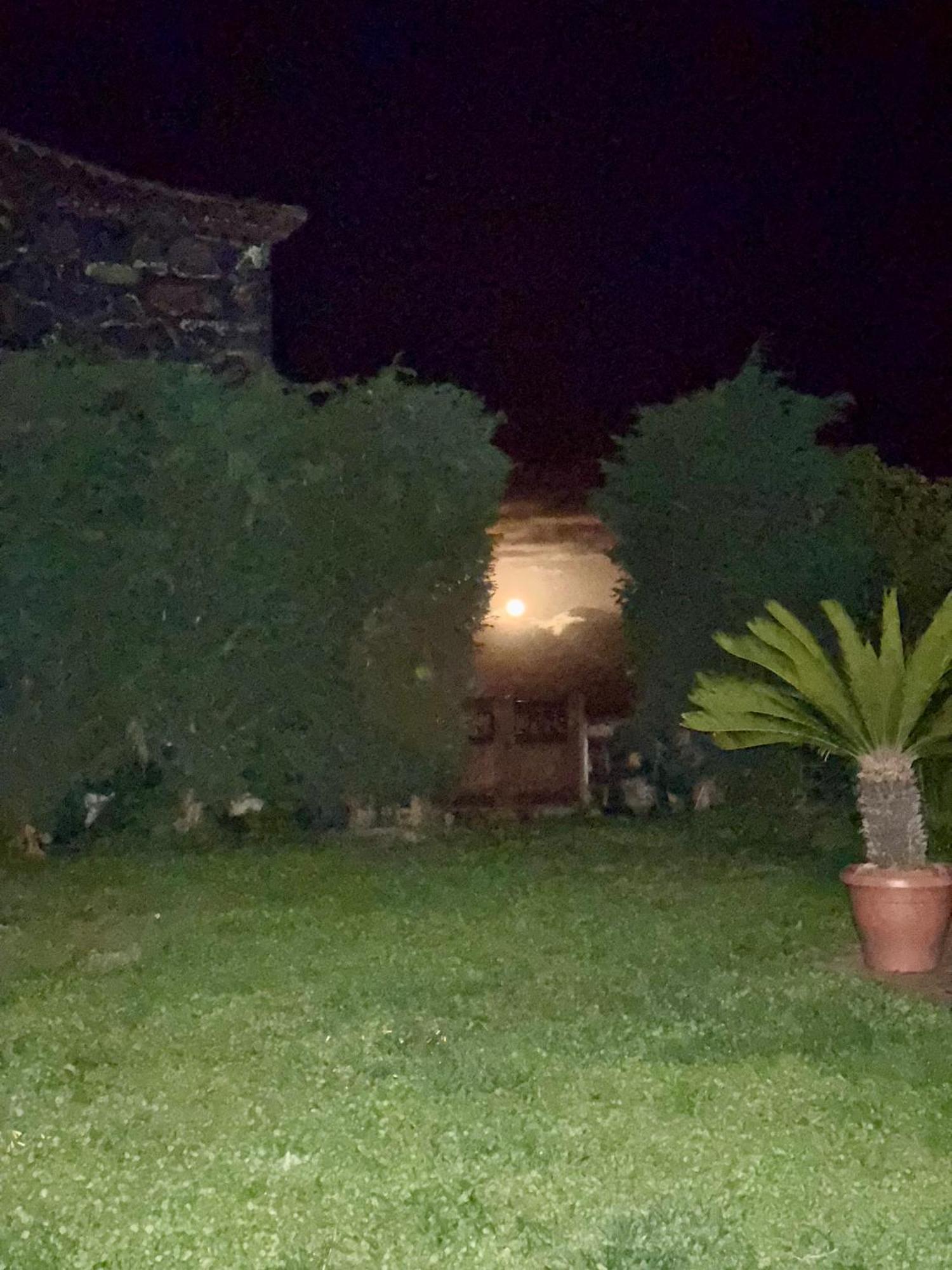 Casa Rural Quinta Los Naranjos Tigalate Exteriör bild