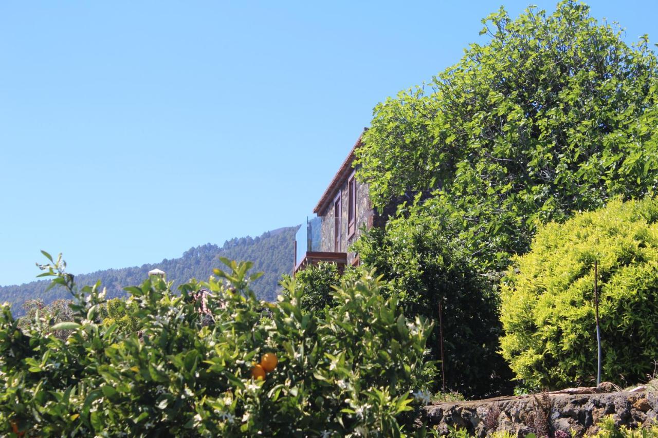 Casa Rural Quinta Los Naranjos Tigalate Exteriör bild